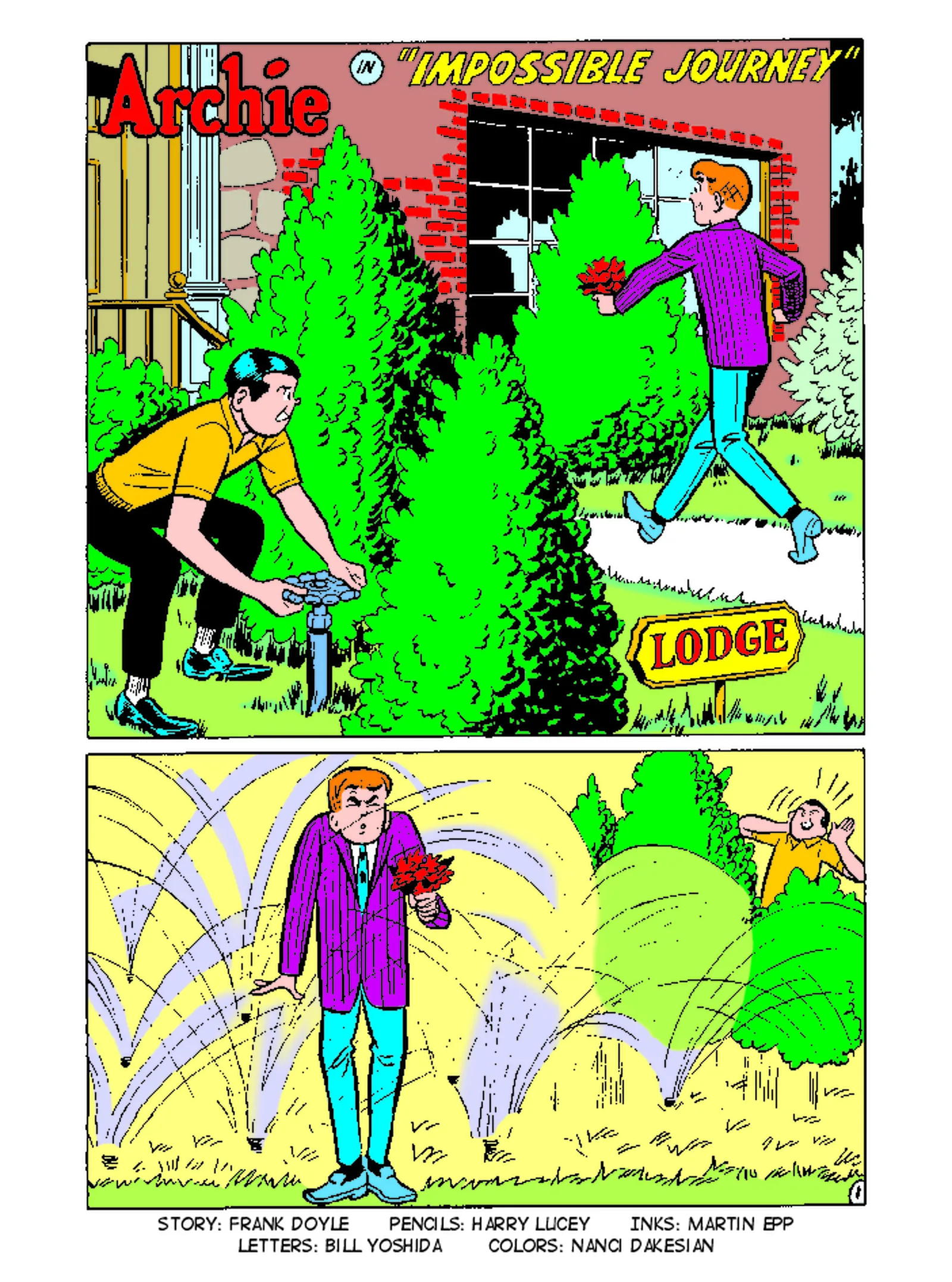 Page 31
