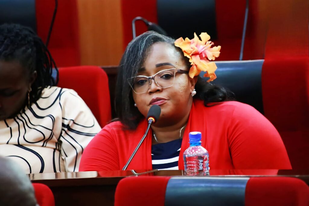 Bobea Awards Nominee Hon. Josephine Wangui Agingu: A Trailblazer for Change