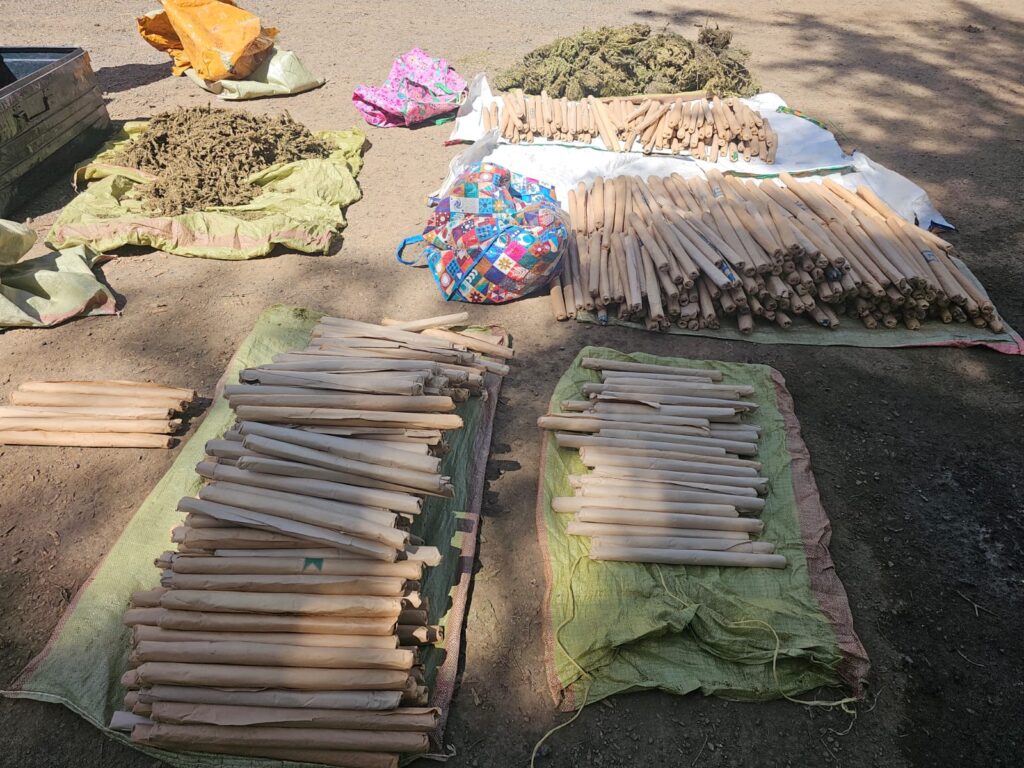 NACADA Re-Arrests Notorious Drug Kingpin, Seizes Bhang Worth Millions
