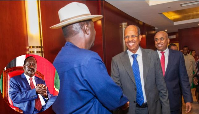 Raila Breaks Silence after Losing AUC Chair Seat to Djibouti’s Ali Youssouf