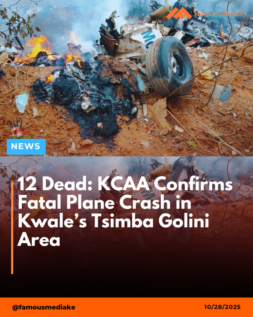 12 Dead: KCAA Confirms Fatal Plane Crash in Kwale’s Tsimba Golini Area
