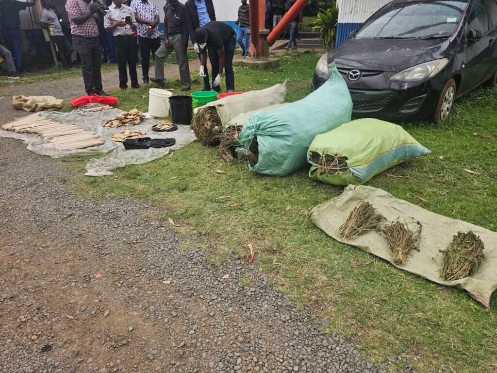 Bhang Worth Sh5 Million Seized in University Hostels in Homa Bay