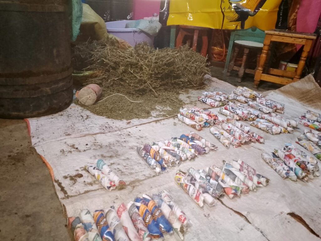 NACADA Arrests Notorious Cannabis Trafficker in Njoro, Uncovers Underground Bunkers Near Egerton University